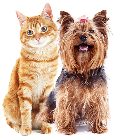 Kedi & Köpek Tıraş Makineleri