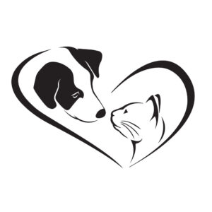 Cam Dekorasyon Duvar Sticker Ev Evcil Bakım Köpek Kedi Veteriner Kreş Dekor Çıkartmalar