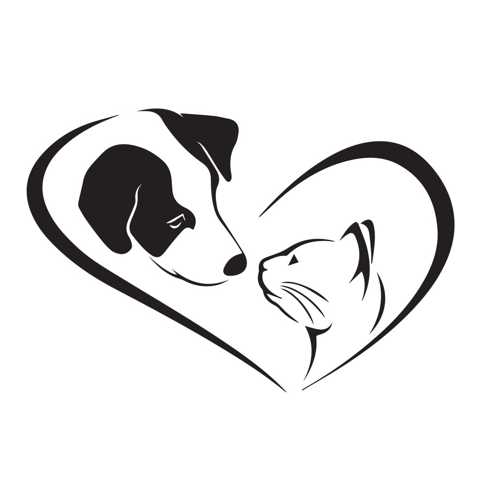 Cam Dekorasyon Duvar Sticker Ev Evcil Bakım Köpek Kedi Veteriner Kreş Dekor Çıkartmalar