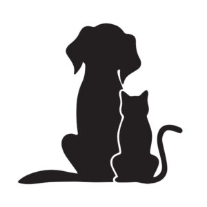 Cam Dekorasyon Duvar Sticker Kedi Köpek Evcil Hayvanlar Veteriner Kliniği Tımar Salonu Çıkartmalar