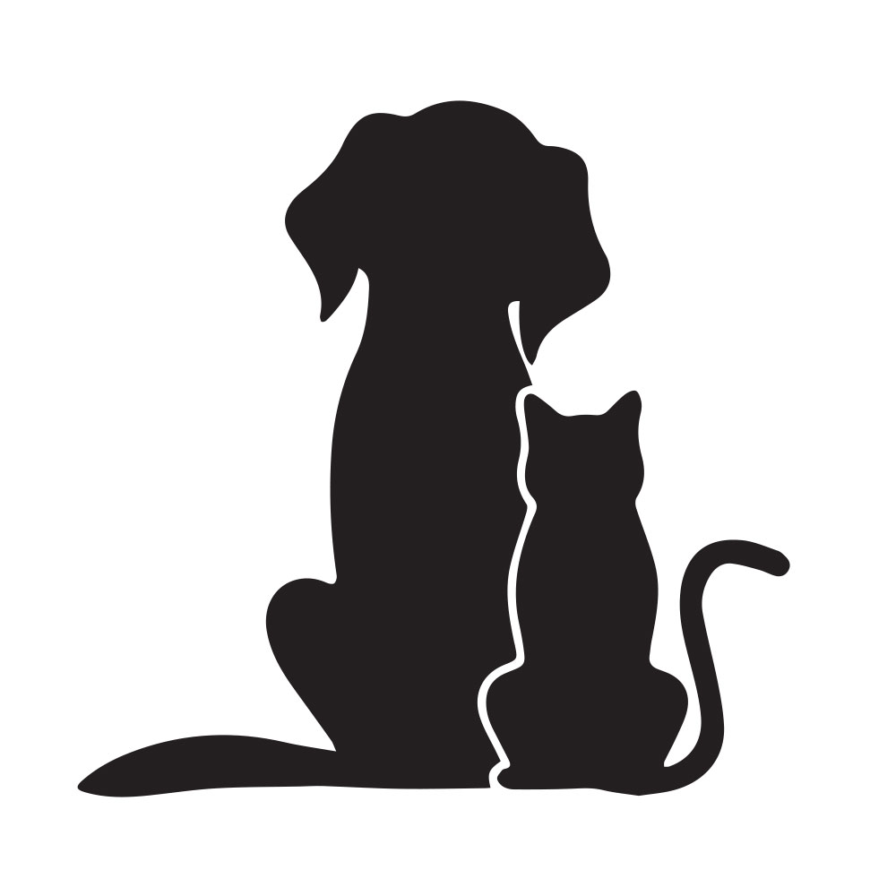 Cam Dekorasyon Duvar Sticker Kedi Köpek Evcil Hayvanlar Veteriner Kliniği Tımar Salonu Çıkartmalar