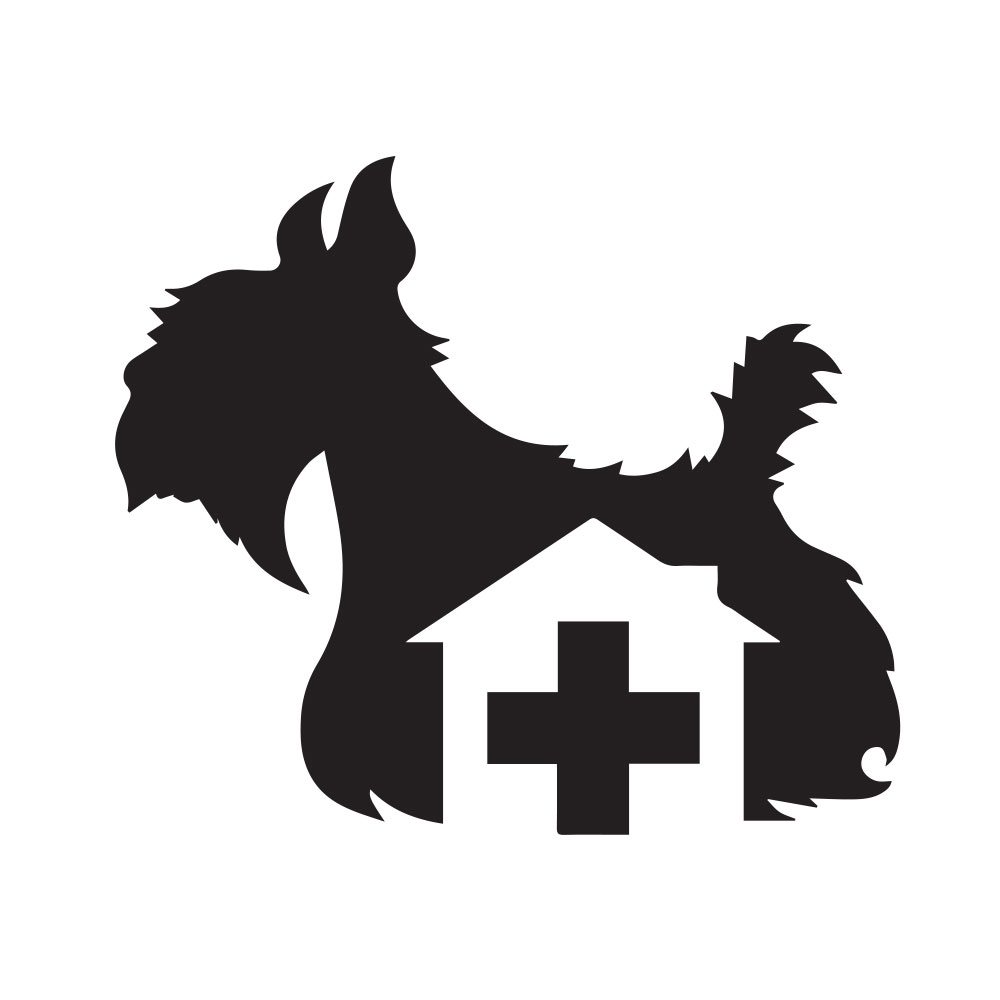 Cam Dekorasyon Duvar Sticker Veteriner Kliniği Pet Shop Tımar Hayvan Köpek Çıkartmaları